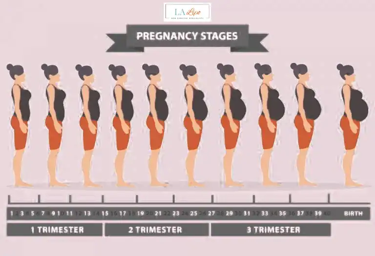 First Trimester (Weeks 1–12): Early Changes You Might Not Notice Market Harborough